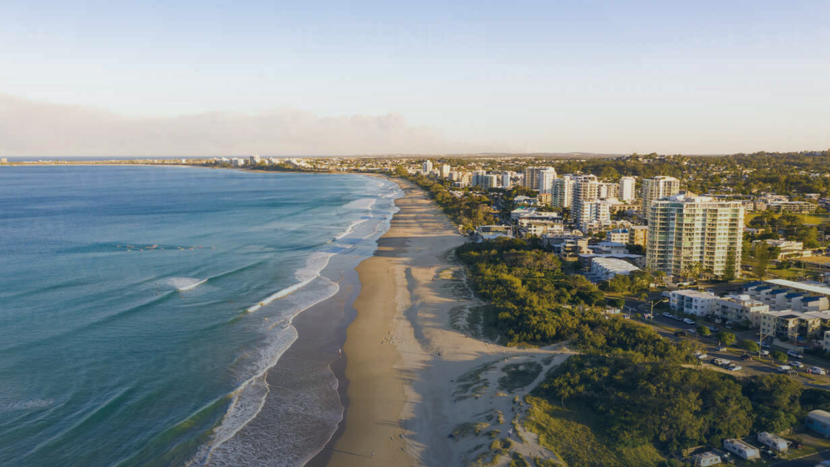 Is a tree or sea change on your horizon?