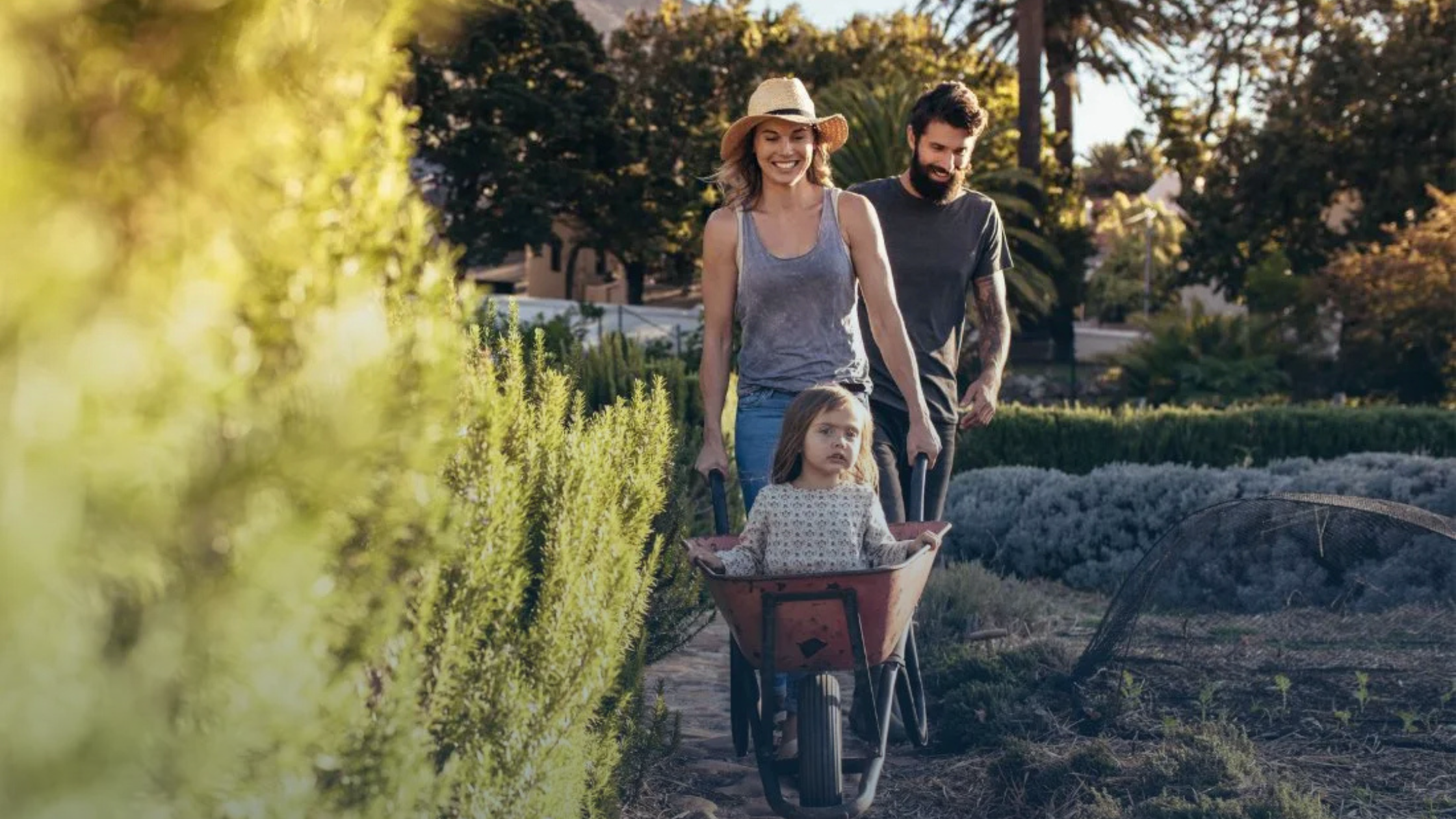 Thinking of a tree change? You might find more affordable homes