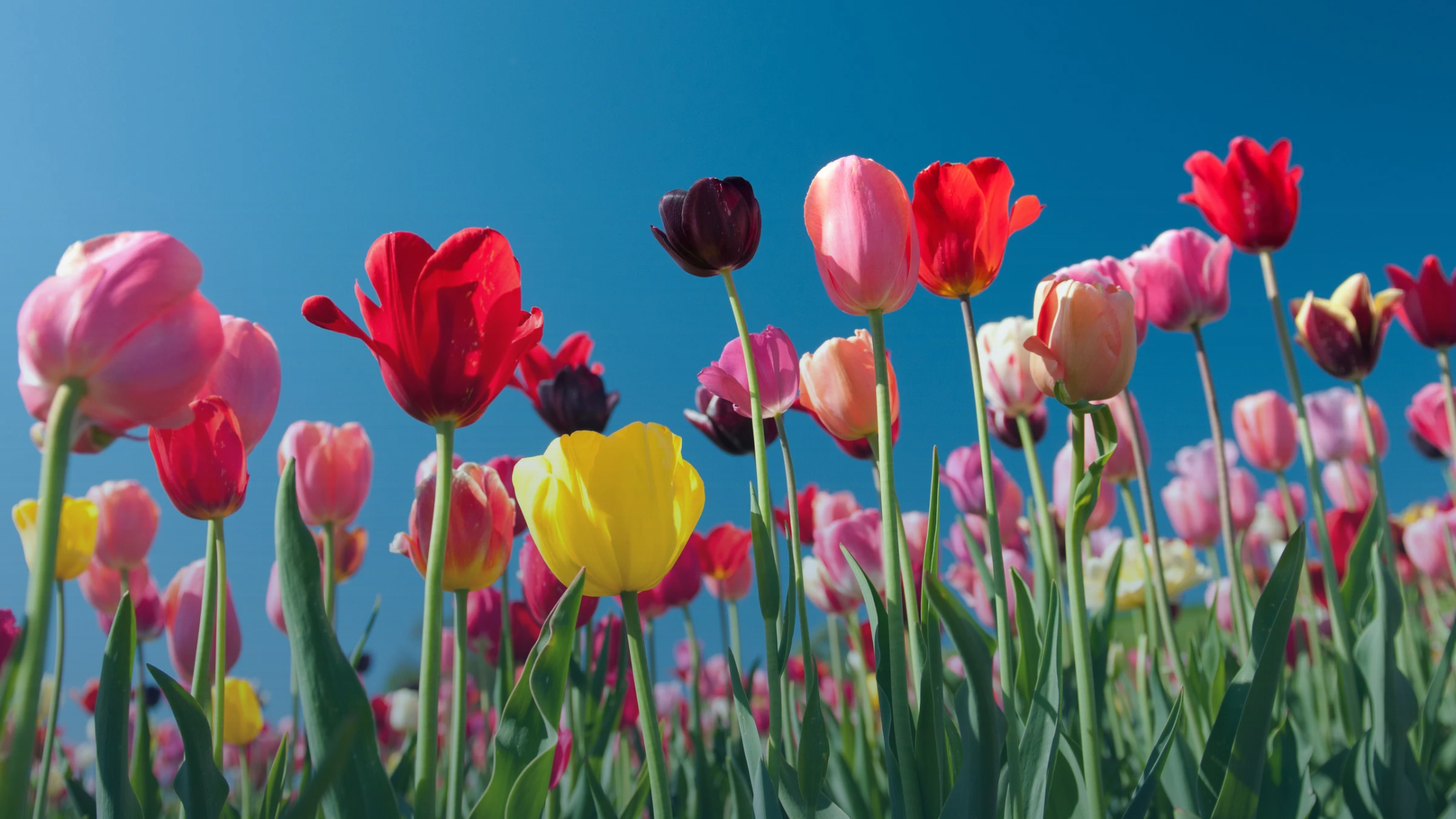 Spring selling season is here. What’s different in 2026?
